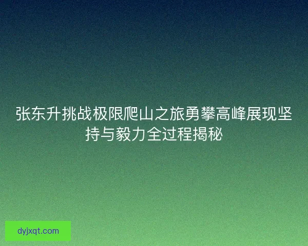 张东升挑战极限爬山之旅勇攀高峰展现坚持与毅力全过程揭秘