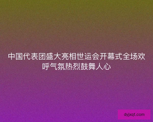 中国代表团盛大亮相世运会开幕式全场欢呼气氛热烈鼓舞人心