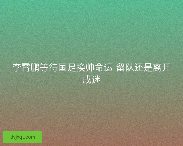李霄鹏等待国足换帅命运 留队还是离开成迷 李霄鹏等待国足换帅命运 留队还是离开成迷